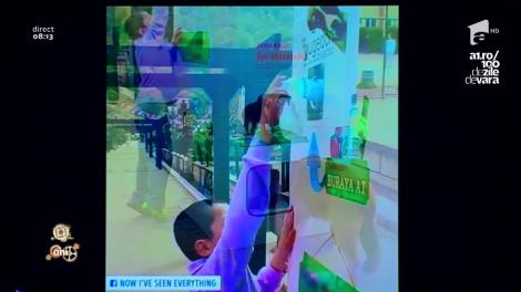 Smiley news: Mâncare pentru câinii maidanezi în schimbul PET-urilor