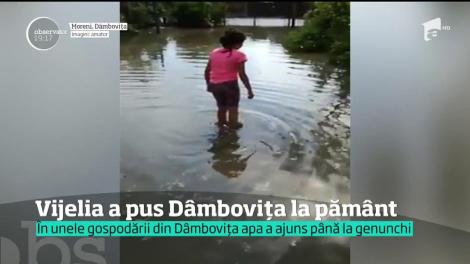 Vremea pare să o ia razna! Furtunile extrem de puternice au făcut pagube importante