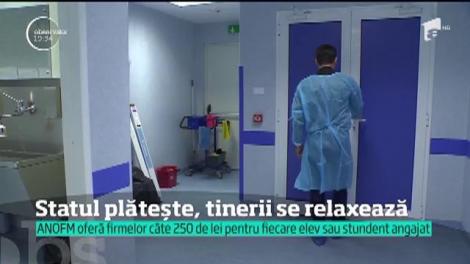 Statul oferă firmelor câte 250 de lei pentu fiecare elev sau student angajat, dar tinerii preferă să se relaxeze