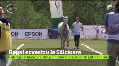 Campania Observator, 100 de zile de vară, continuă cu o competiție de anduranţă ecvestră organizată în comuna Sălcioara din judeţul Dâmboviţa