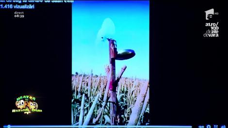 Smiley news: Ultimul tip de sperietoare de ciori