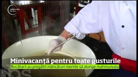 Distracţiile sunt pentru toate gusturile la malul mării, acolo unde mii de români şi-au petrecut vacanţa de Rusalii