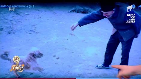 Smiley News: Mamaie și Kendama, printre găini şi porci. Scheme de invidiat, în mijlocul ogrăzii