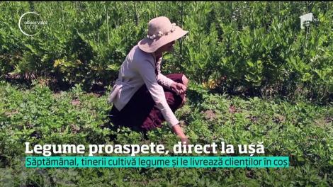 Când n-ai timp să mergi la piaţă, vine piaţa la tine. Un tânăr din Buzău cultivă legume şi le livrează în timp record direct la uşa noastră