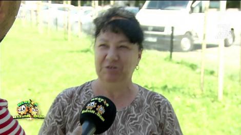 Cum &icirc;şi revin rom&acirc;nii dupa vacanţa de Rusalii