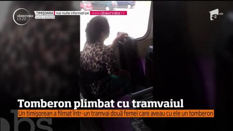 În Timişoara, viitoare Capitală Culturală Europeană, tomberoanele sunt plimbate cu tramvaiul!