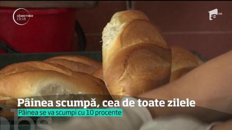 Pâinea se va scumpi, deși vom avea cea mai mare recoltă de grâu din ultimii cinci ani