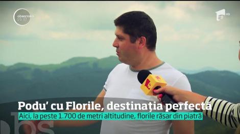 #100 de zile de vară! Podu' cu Florile, destinaţia perfectă pentru relaxare în weekend