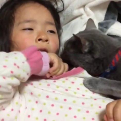O pisicuță încearcă să-și liniștească stăpâna care plânge. Cea mică are parte de sprijinul necondiționat al felinei (VIDEO)