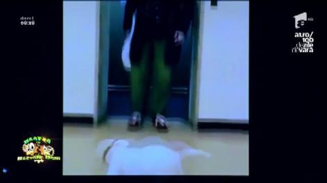 Smiley News: Câinele, cel mai mare dansator de breakdance