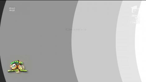 Minciuni nevinovate spuse la locul de muncă