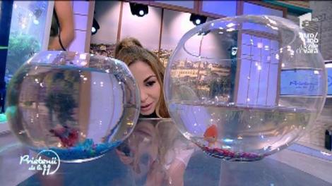 Ești decis și tu să crești „un peștișor de aur” la tine acasă? Suprasolicitarea în acvariu poate duce la lupte între pești, dar și la stres