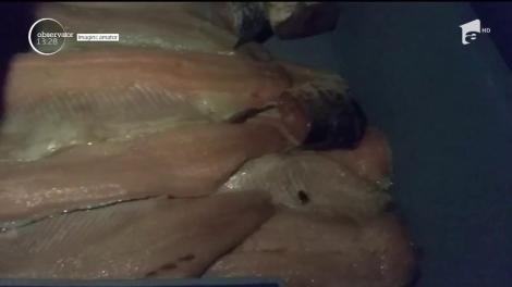 A fost scandal mare la o pescărie din Constanţa