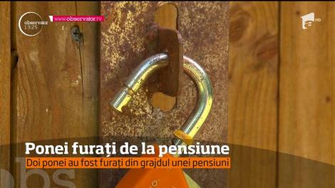 Hoţii au dat lovitura într-o pensiune din Argeş!