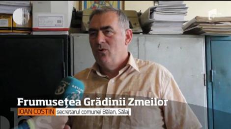 #100 de zile de vară. Grădina Zmeilor, unul dintre cele mai frumoase locuri din România. Există puţine locuri în Europa unde găseşti asemenea minuni ale naturii