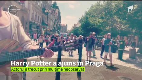 Vă spune ceva numele Tom Felton? Sunt sigură că ştiţi despre cine vorbesc, mai ales dacă v-a plăcut Harry Potter