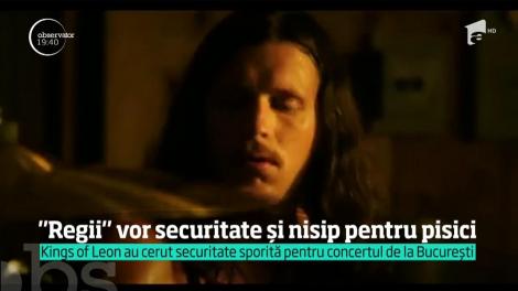 Rockerii de la Kings of Leon au cerut securitate sporită pentru concertul din București. Americanii au avut și câteva cerințe speciale: "Nisip pentru pisică nu ni s-a mai cerut până acum"
