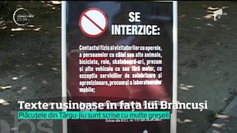 Plăcuţele care ar trebui să apere oprele lui Brâncuşi sunt pline de greşeli
