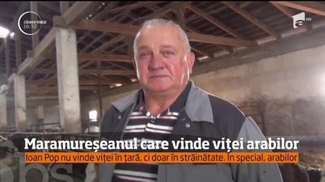 Ioan Pop, maramureșeanul care vinde tauri arabilor
