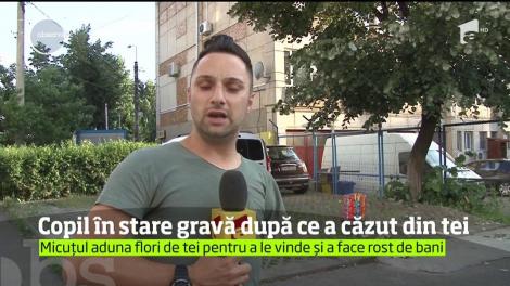 Un copil de nouă ani din Ploieşti este în stare gravă la spital după ce a căzut din copac şi s-a izbit puternic de asfalt