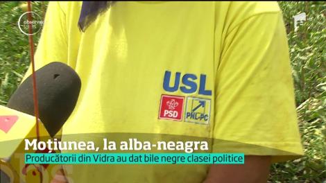 Producătorii de roșii din Vidra au dat bile negre clasei politice
