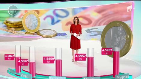 Criza politică se resimte în buzunare. Euro a atins cel mai mare nivel al ultimilor cinci ani