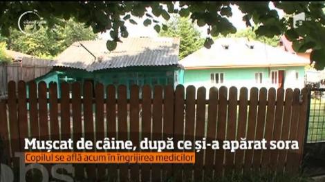 Un băiat de 10 ani a fost mușcat de un câine, după ce și-a apărat sora