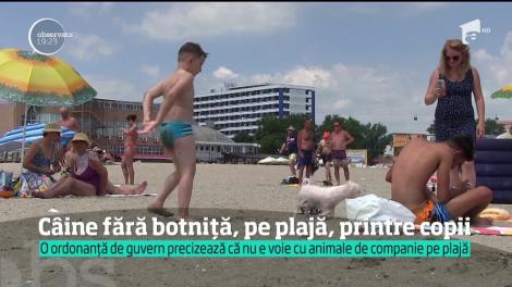 O tânără şi-a plimbat câinele şi l-a spălat în mare, fără să ţină cont că în apropiere sunt şi copii