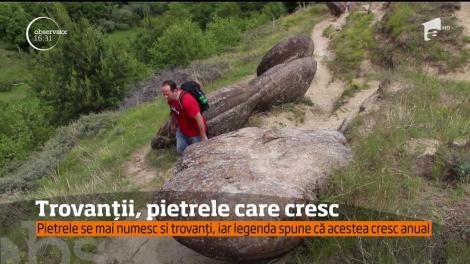 Trovanții, pietrele care cresc din Buzău