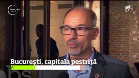 Bucureştiul s-a transformat din Micul Paris în capitala pestriţă. Două milioane de oameni trăiesc într-un haos arhitectural