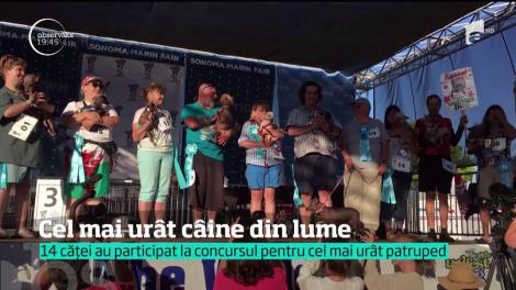 Cel mai urât câine din lume