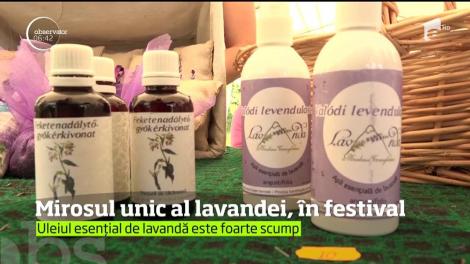 Sărbătoare mare la Cecheşti la Festivalul Lavandei, ajuns deja la cea de-a doua ediţie
