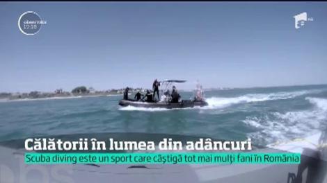 Călătorie în lumea din adâncuri. Marea Neagră ascunde frumuseți la care puțini au șansa să ajungă