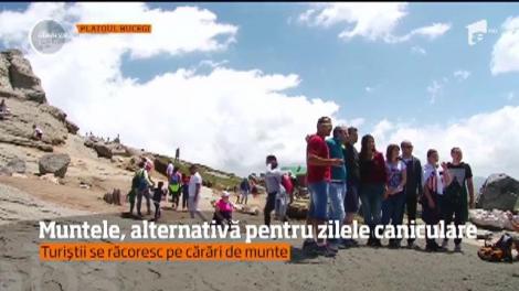 Muntele, alternativa pentru zilele caniculare