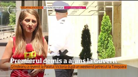 Liderii PSD au stabilit! Mihai Tudose, propunerea pentru funcţia de premier