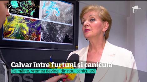 În Bistriţa Năsăud, o vijelie de nici jumătate de oră a făcut prăpăd