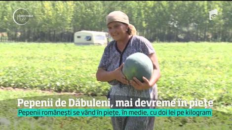 Pepenii de Dăbuleni, mai devreme în pieţe