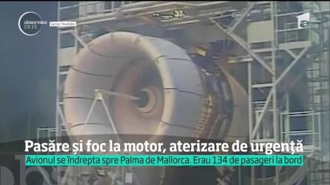 Au fost clipe de teroare într-un avion plin cu români. Motorul aeronavei a luat foc în zbor, din cauza unei păsări, iar un pasager a filmat momentul