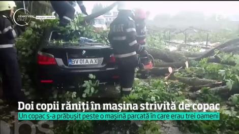 Intervenţie contra-cronometru de salvare în Braşov, după ce un copac s-a prăbuşit peste o maşină parcată