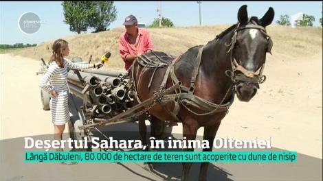 România, în pragul dezastrului. Ce s-a descoperit după mai multe zile de caniculă! A crăpat pământul în Bărăgan!