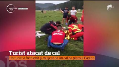 Salvamontiştii au intervenit la un accident mai puţin obişnuit, pe platoul Padina, din munţii Bucegi