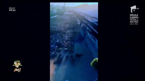 Smiley News: Hansel & Gretel şi cele 4000 de răţuşte