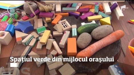 În Baia Mare au apărut nişte grădini exotice, iar oamenii sunt invitaţi să se relaxaze în livinguri aşezate chiar în aer liber!