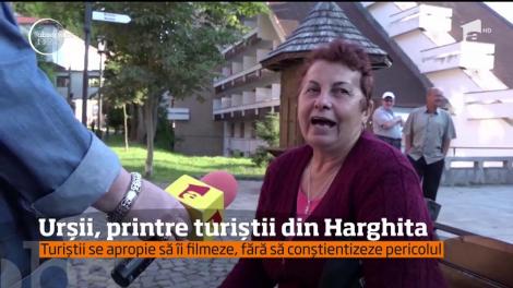 Urşii se plimbă nestingheriţi pe străzile din staţiunea Băile Tuşnad