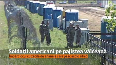 Soldaţii americani pe pajiştea vâlceană! Peste două mii de militari NATO se pregătesc pentru exerciţiul Saber Guardian!