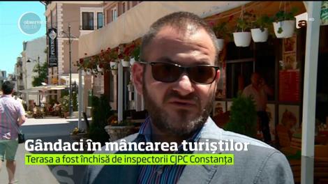 Mâncare stricată, mizerie de nedescris şi gândaci! O terasă din centrul istoric al Constanţei a fost închisă de inspectorii de la Protecţia Consumatorului