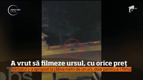 Gest de inconştienţă în judeţul Braşov. Un tânăr şi-a riscat viaţa doar pentru a filma un urs de aproape