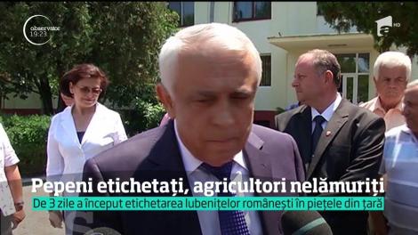 A început marea etichetare a pepenilor românești. Agricultorii sunt nelămuriți