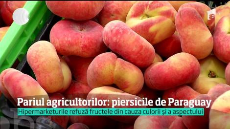 Pariul agricultorilor: piersicile de Paraguay