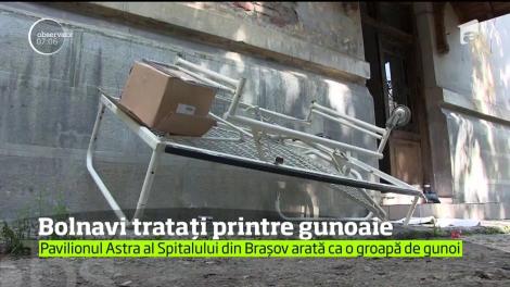 Imagini șocante! Seringi, pansamente folosite, paturi ruginite și animale, asta găsesc pacienții în Spitalul Județean din Brașov